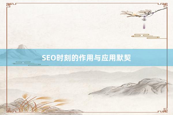 SEO时刻的作用与应用默契